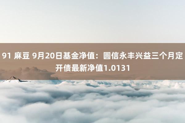 91 麻豆 9月20日基金净值：圆信永丰兴益三个月定开债最新净值1.0131