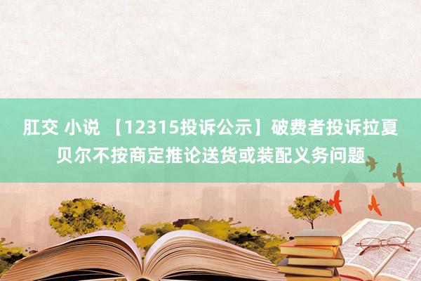 肛交 小说 【12315投诉公示】破费者投诉拉夏贝尔不按商定推论送货或装配义务问题