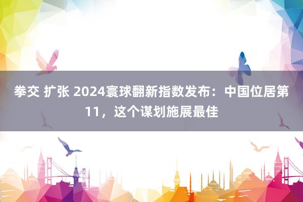 拳交 扩张 2024寰球翻新指数发布：中国位居第11，这个谋划施展最佳