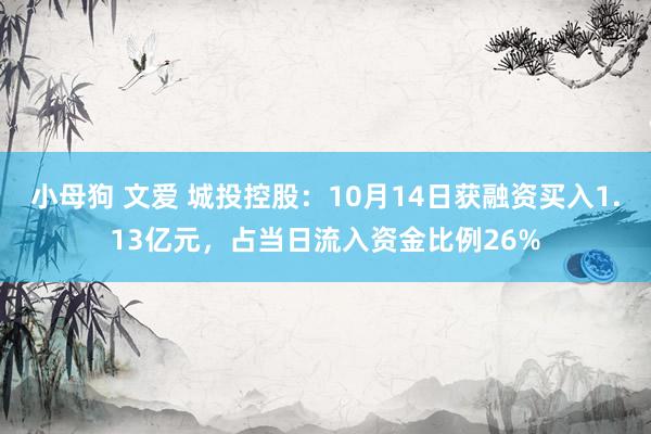 小母狗 文爱 城投控股：10月14日获融资买入1.13亿元，占当日流入资金比例26%