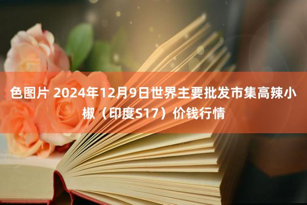 色图片 2024年12月9日世界主要批发市集高辣小椒（印度S17）价钱行情