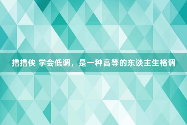 撸撸侠 学会低调，是一种高等的东谈主生格调